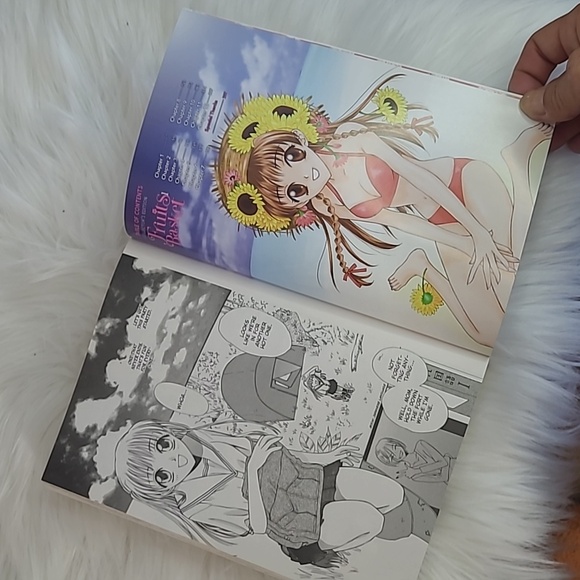 Collectors Edition Fruit Baskets Anime Manga Kawaii Comic Paperback Book Natsuki - Picture 10 of 14
